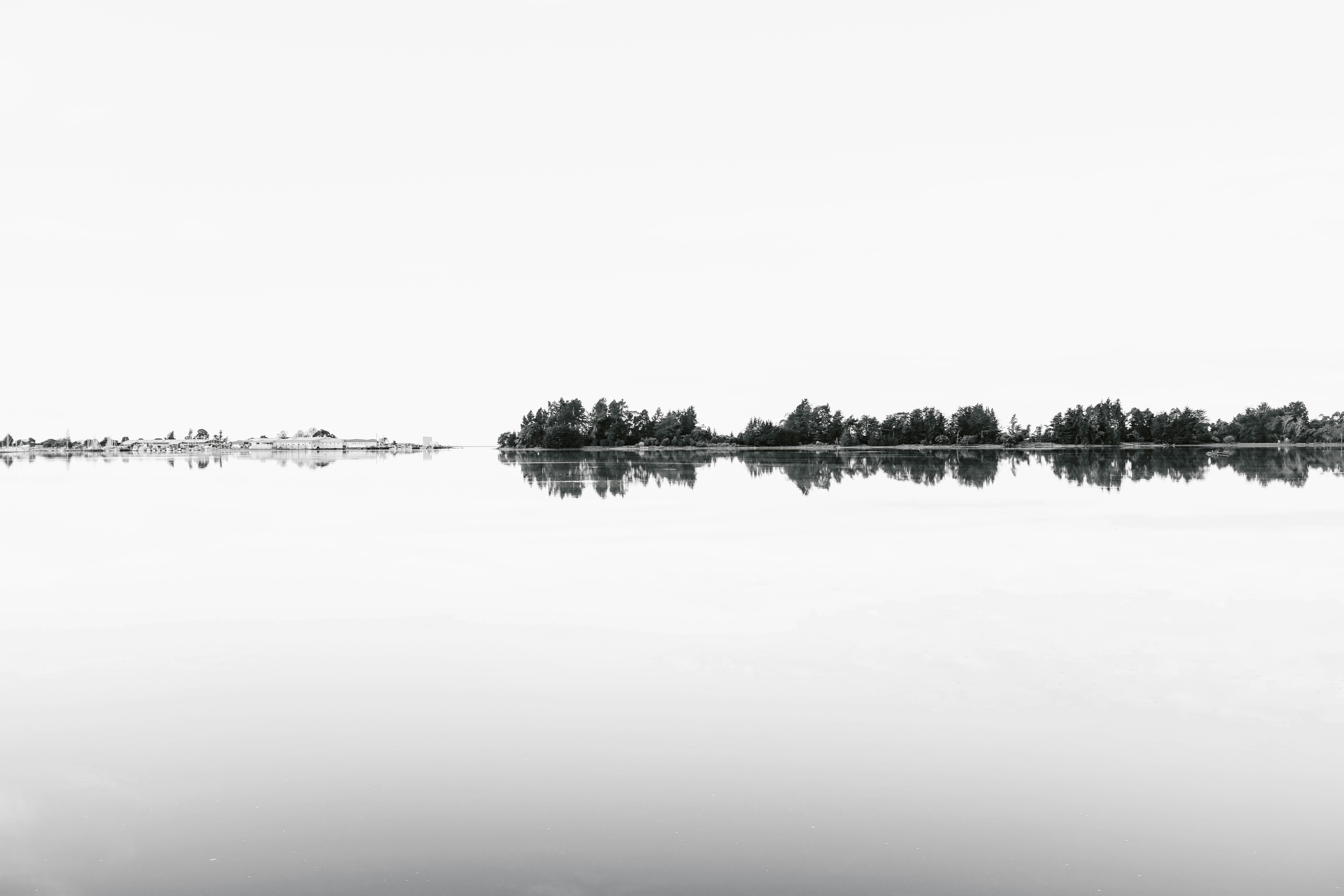 reflection of trees in water